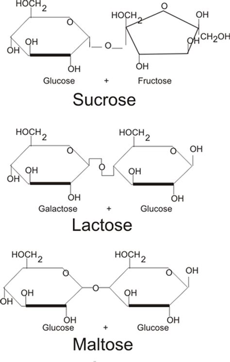 What Are Disaccharides Chemistry Lessons Teaching