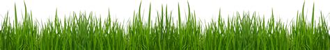 Grass Clip Art To Download Clipartcow 2