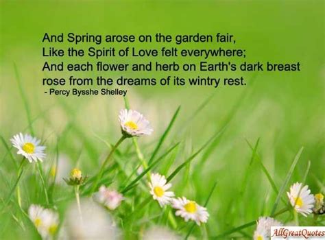 Funny Spring Quotes Quotesgram