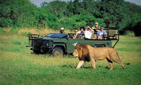 International Tourist Arrivals In South Africa Approach 10