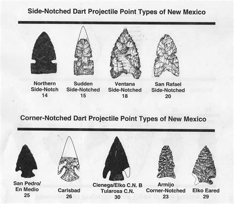 Projectile Points Photos Indian Artifacts Pointe Elko