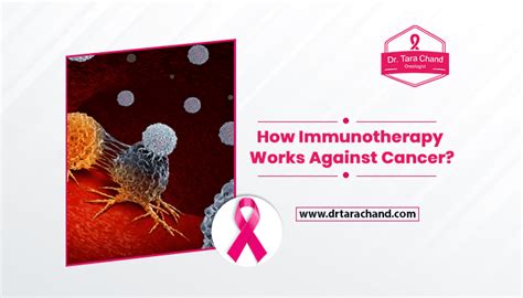 How Immunotherapy Works Against Cancer 2022 Dr Tara Chand