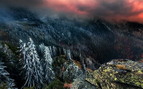 Nature Landscape Tyrol Winter Sunrise Cabin Mountain Pine Trees Snow