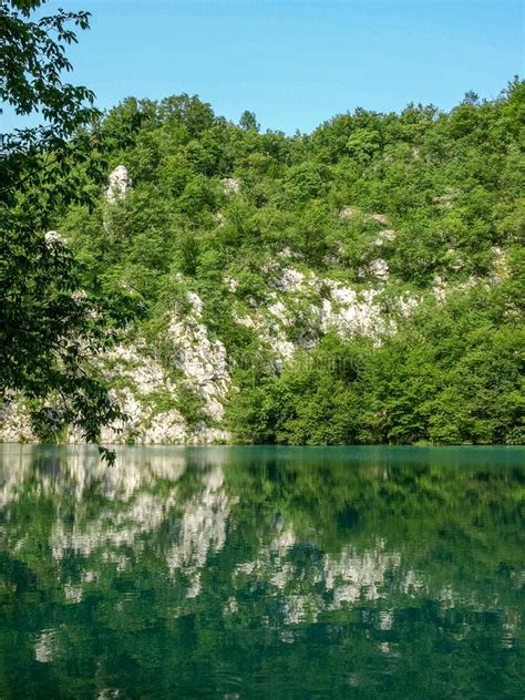 Small Lake In The Green Summer Forest With Turquoise Water Stock Image
