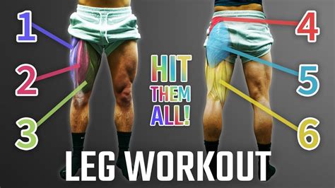 The Best Science Based Leg Day For Growth Quadsgluteshamstrings