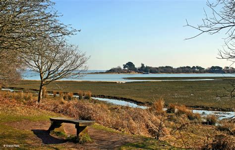 Arne Nature Reserve Dorset By Graham Rains At