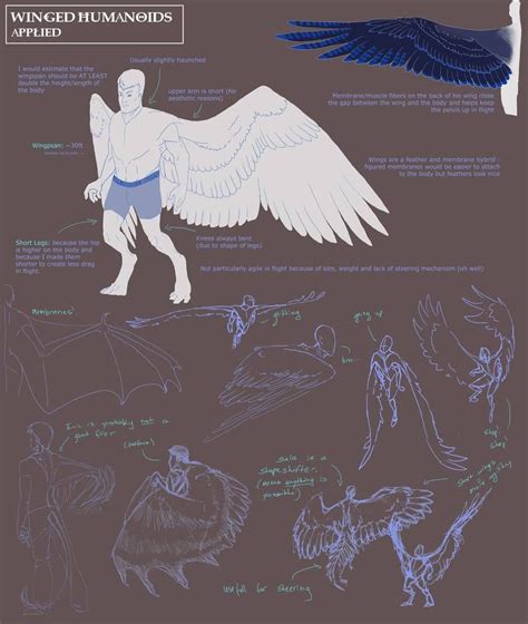 Winged Humanoid Part 4 By Mernolan On Deviantart Wings Drawing Art