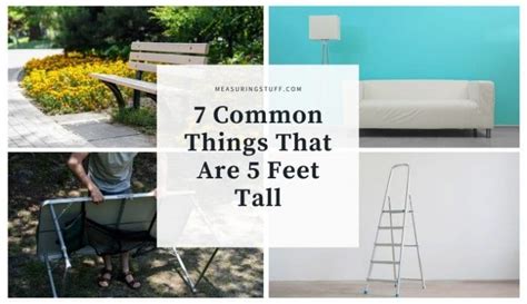 7 Common Things That Are 5 Feet Tall Measuring Stuff