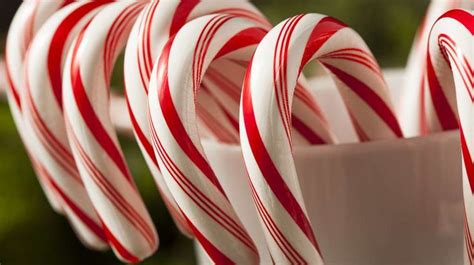Frugal Fun 22 Uses For Your Leftover Candy Canes Leftover Candy Candy Cane Protein Shake