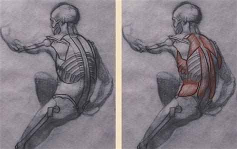 Anatomical Approach To Figure Drawing The Basics Can Be Enough Love