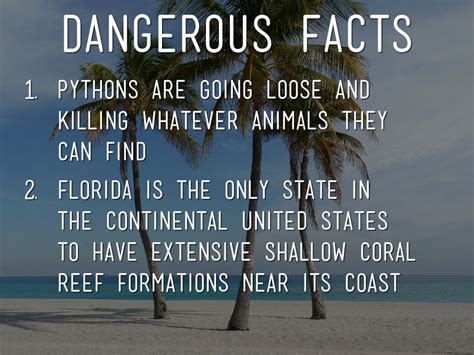 Florida Fun Facts By Madeline Hanna