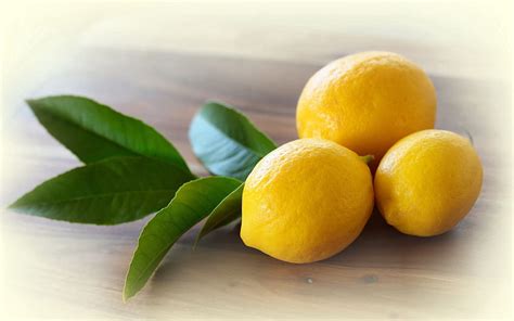 Food Leaves Lemons Citrus Hd Wallpaper Pxfuel