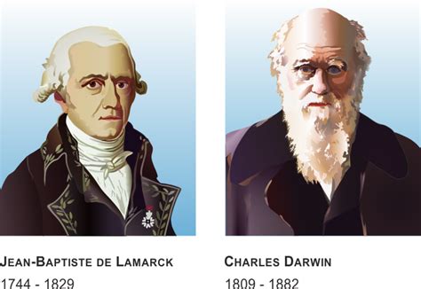Unterrichtsmaterial Biologie Darwin Und Lamarck