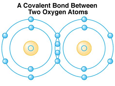 Covalent bond — noun a chemical bond that involves sharing a pair of electrons between atoms in a molecule • hypernyms: covalent bonding - StudyBlue