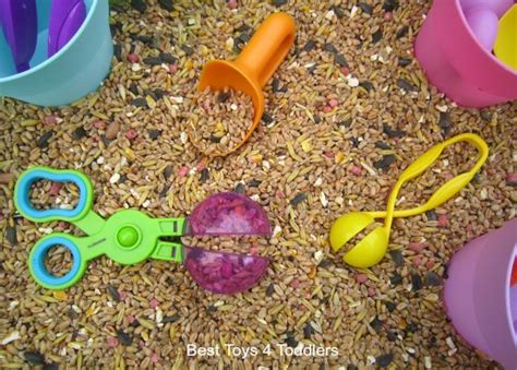 Bird Seed Sensory Play With Toddlers Sensory Play Toddlers Toddler