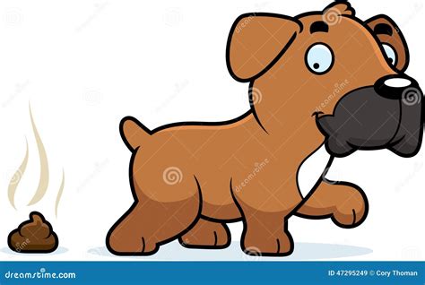 Cartoon Boxer Poop Stock Vector Illustration Of Smiling 47295249