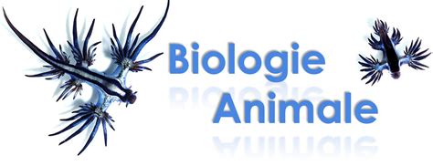 Résumé De Biologie Animale L1 Bio S2
