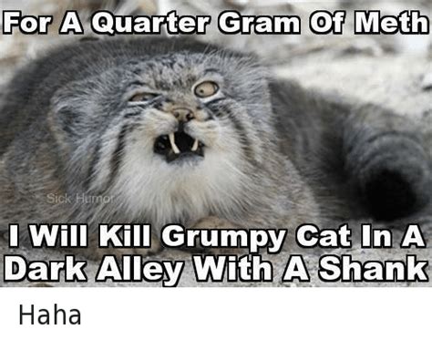 For A Quarter Gram Of Meth Will Kill Grumpy Cat In A Dark