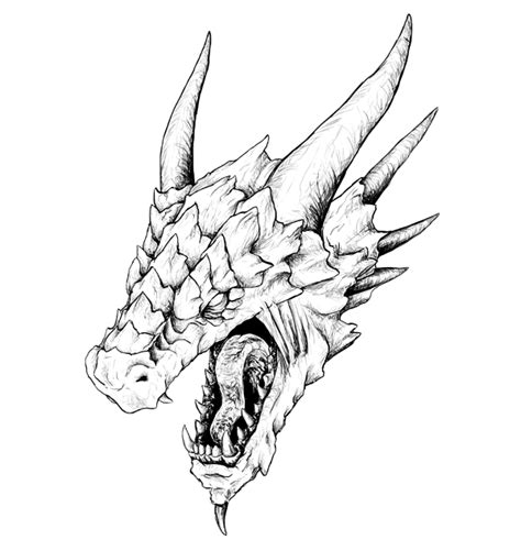 Dragon Head Dragon Drawing Reference See More Ideas About Dragon Head