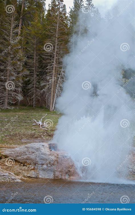 Riverside Geyser Eruption In Yellowstone National Park Usa Stock Photo
