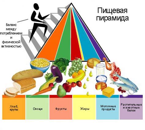 Обзор пищевых пирамид правильное и здоровое питание на неделю
