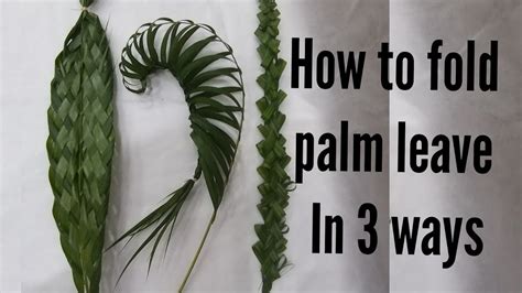 Palm Leaves How To Fold Palm Leaves Diy 3 Way Folding Palm Leaves