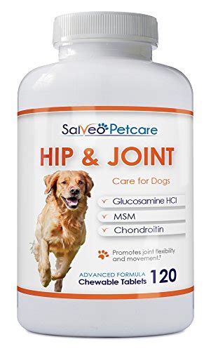 Top 5 Best Arthritis Relief For Dogs For Sale 2016 Boomsbeat