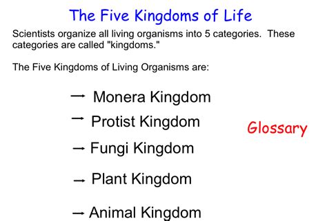 The 5 Kingdoms Of Life See How We Grow