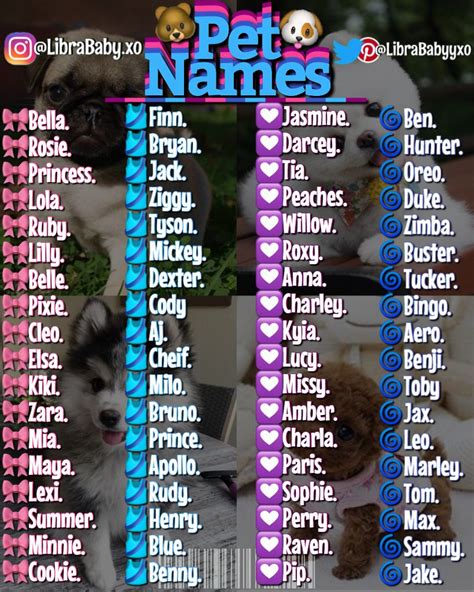 Cutest Baby Animal Names Dogs And Cats Wallpaper