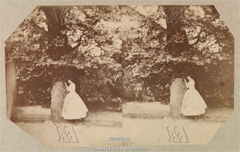 Dundrum House Grounds Photo Lady Clementina Hawarden County Tipperary Ireland Mid Th