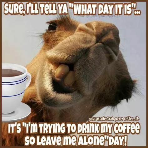 Pin By Liz Lugo On Hump Day My Coffee Coffee Humor Wednesday Coffee Humor