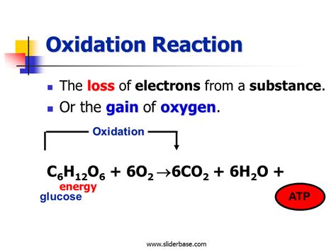 What is the role of redox reaction in human lives? Cellular respiration - Presentation Biology