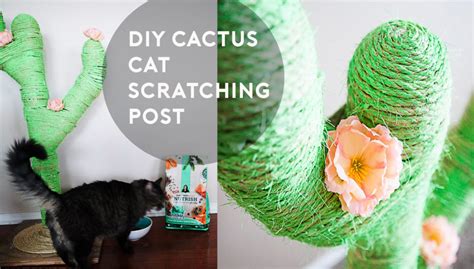 Sisal scratchers tend to be messy as it frays. DIY Catcus Scratching Post - Kaylee Eylander DIY