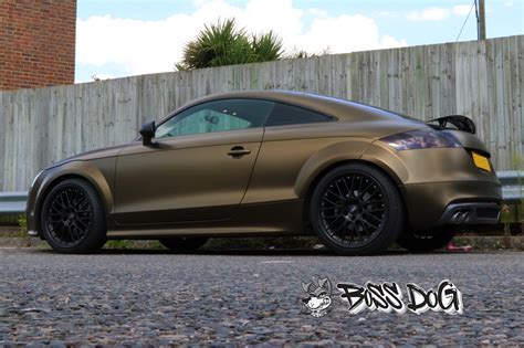 Audi Tt Bond Gold Boss Dog