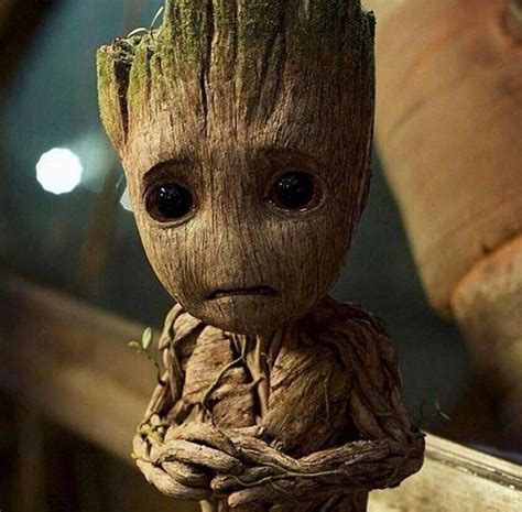 Were Sorry To Have To Remind You But Groot Is Dead Groot Marvel