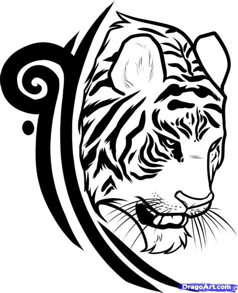 Tribal Tiger Tattoo Designs Draw A Tiger Tattoo Design Tiger Tattoo