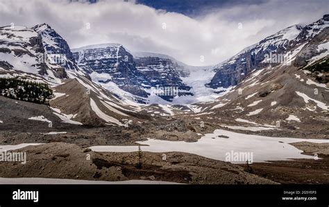 The Famous Athabasca Glacier In The Columbia Icefields In Jasper