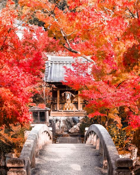 Top 10 Momiji Photo Spot In Japan Eikan Do Temple In Kyoto Momiji