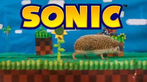 Sonic Na Vida Real Real Life Sonic The Hedgehog Youtube