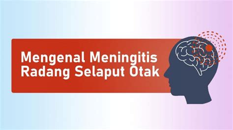 Infografis Mengenal Meningitis Penyakit Radang Selaput Otak