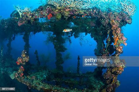 Underwater Shipwreck Photos And Premium High Res Pictures Getty Images