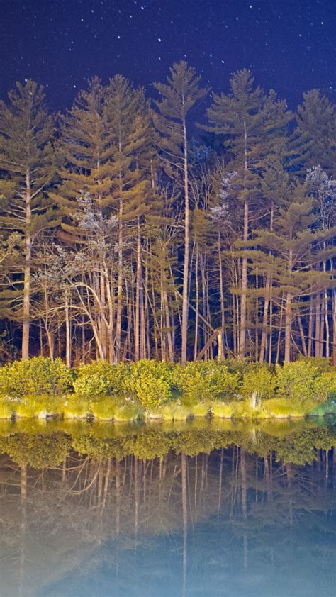 Wallpaper Android 5k 4k Wallpaper Forest Landscape Night Pond Os