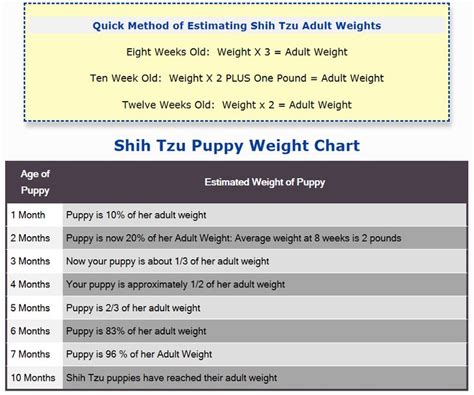 Shih Tzu Puppy Weight Chart Shih Tzu Puppy Shih Tzu Puppies