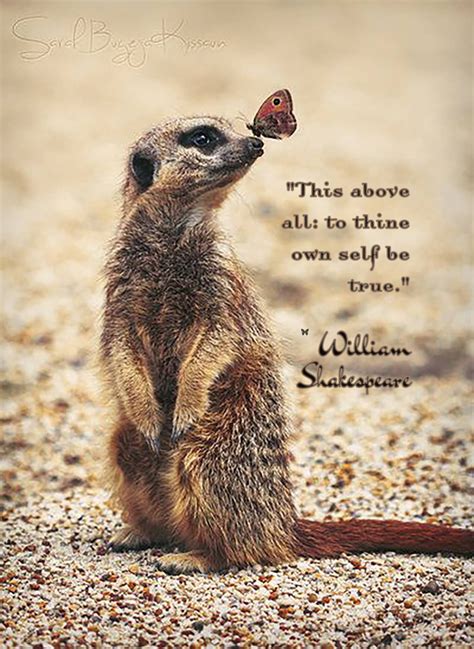 This Above All To Thine Own Self Be True ♡ William Shakespeare