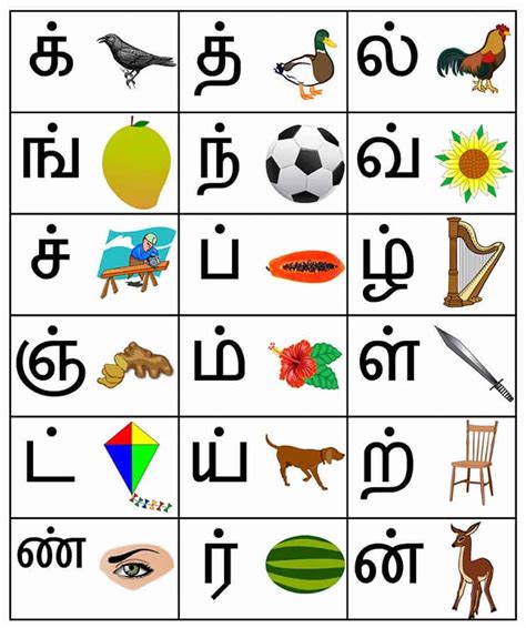 Tamil Alphabets In English Chart Seg