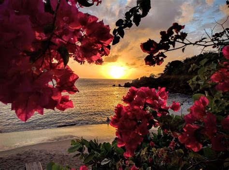 Sunset In St Vincent Oc Beautiful Nature Nature Aesthetic Nature Photos