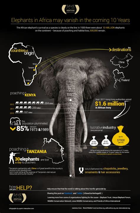 Join In Saving Elephants Saveourheritageke Africa Infographic