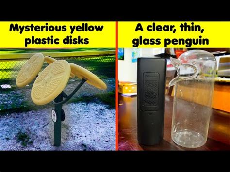 Objects That Baffled Their Owners So Much They Turned To The Intern