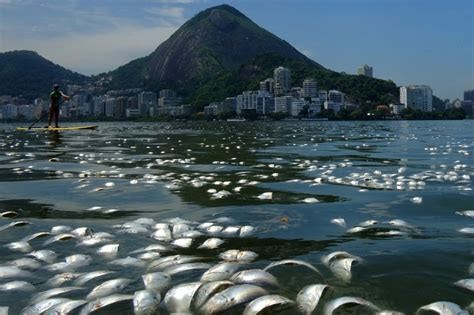 A Look At Brazils Polluted Waters Pacific Standard