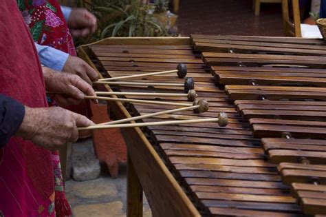 La Música Marimba Marimba Instruments Musicals